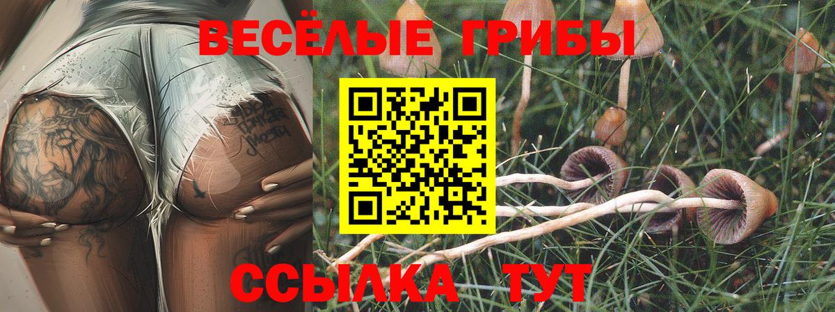 Галлюциногенные грибы мицелий Кинешма