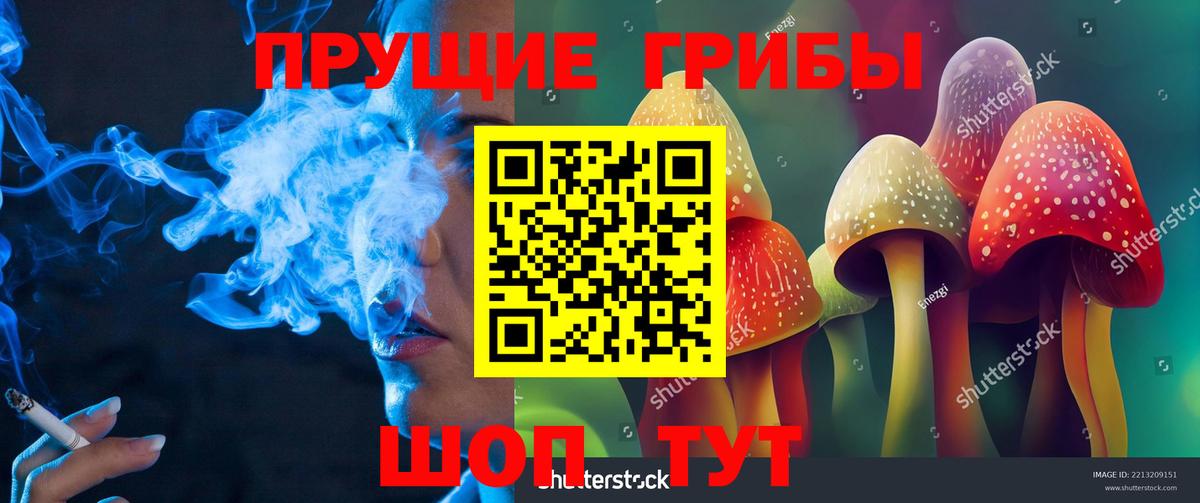 Кинешма  Галлюциногенные грибы Cubensis  Вход с VPN 